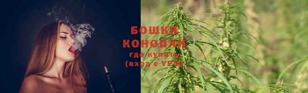 стафф Магас