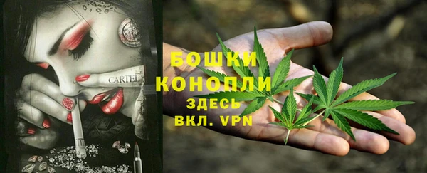 сатива Кострома
