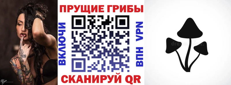 Купить  Кондрово  Галлюциногенные грибы Magic Shrooms 